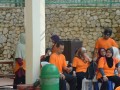 Tn DSC 4689